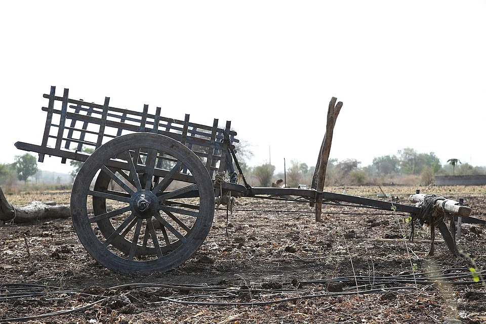 Bullock cart
