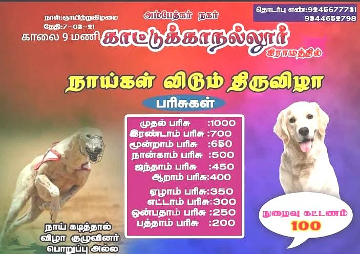 விழாக்குழுவின் அறிவிப்பு