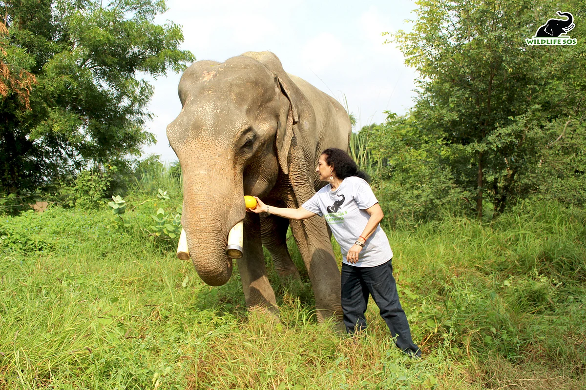 கீதா சேஷமணி