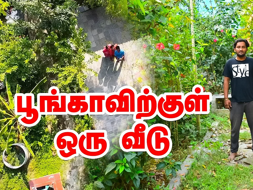 மழைநீர் சேகரிப்புடன் பூங்காவிற்குள் ஒரு வீடு!