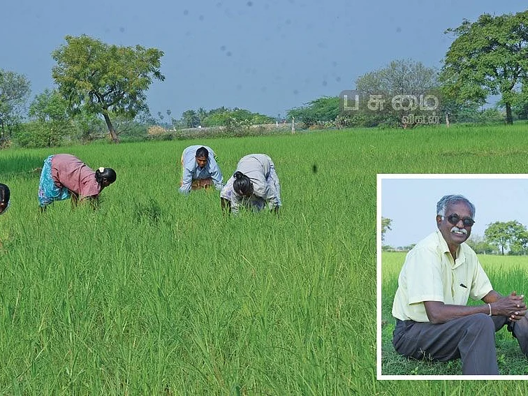 பூங்கார், கறுப்புக்கவுனி..! நேரடி விற்பனையில் கல்லூரிப் பேராசிரியர்!