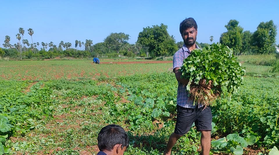 Afgovnslrbz Fm Download daily hunt news app. https www vikatan com news