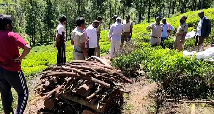 சிறுத்தை மரணம்