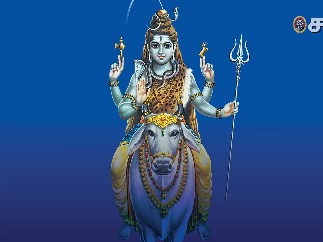 `புண்ணியம் செய்வாருக்குப் பூவுண்டு நீருண்டு...’ சிவவழிபாட்டில் பூக்கள்! #VikatanPhotoCards