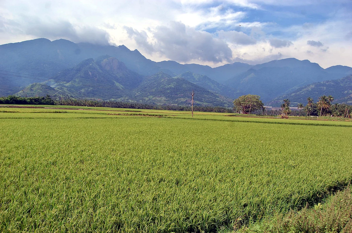 மேக்கரை