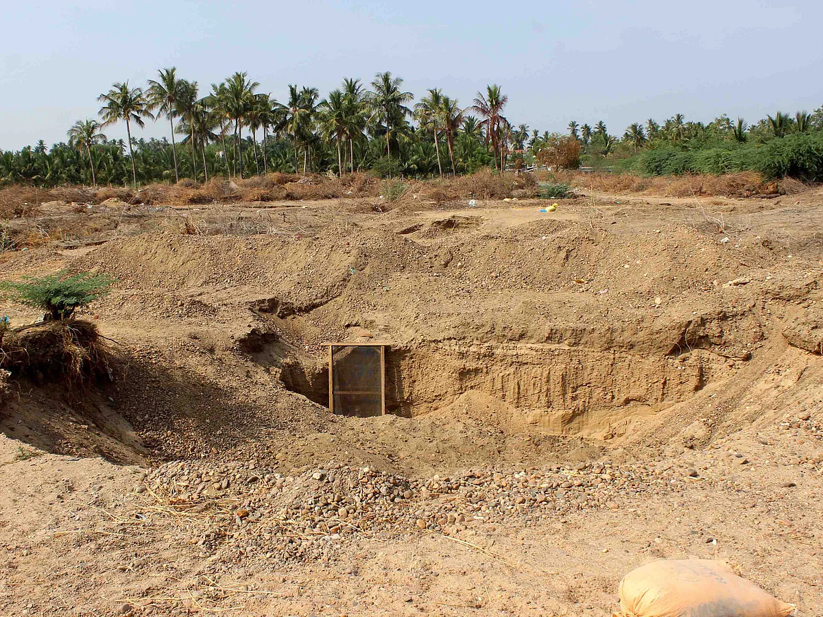 `மாட்டு வண்டியில் மணல் அள்ளலாம்!' - செந்தில் பாலாஜி பேசியது சரியா... சூழலியல் ஆர்வலர்கள் சொல்வதென்ன?