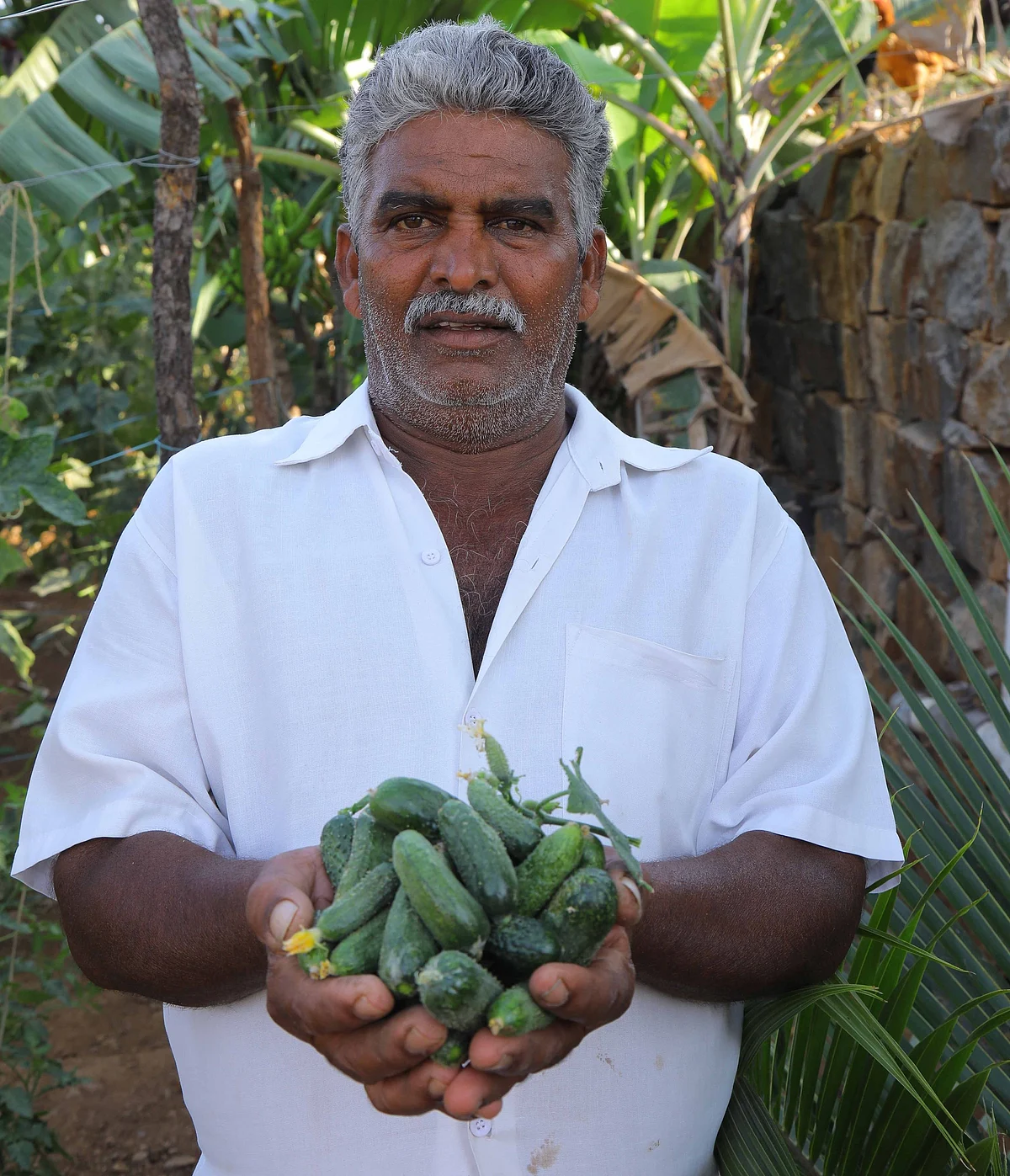 நடராஜ்