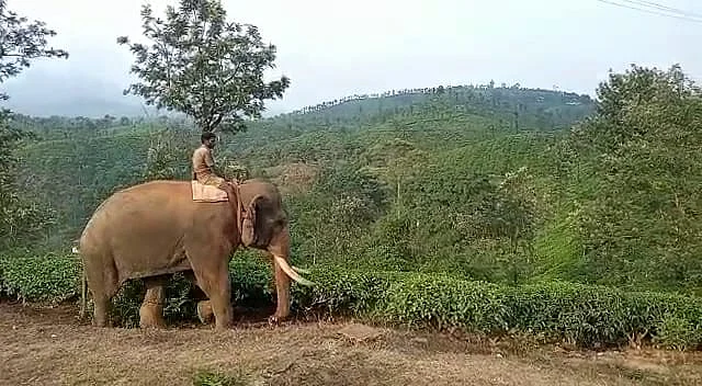 kumki