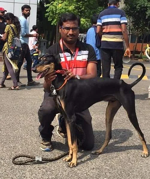 நாய் கண்காட்சியின்போது சதீஷும் அவரின் நாட்டு நாயும்