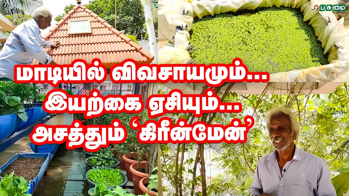 மாடியில் விவசாயம்