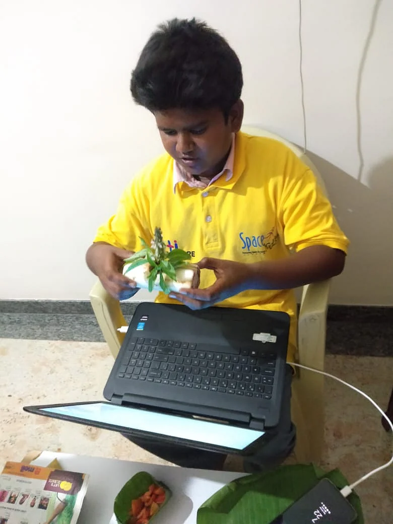 பூவரசன்
