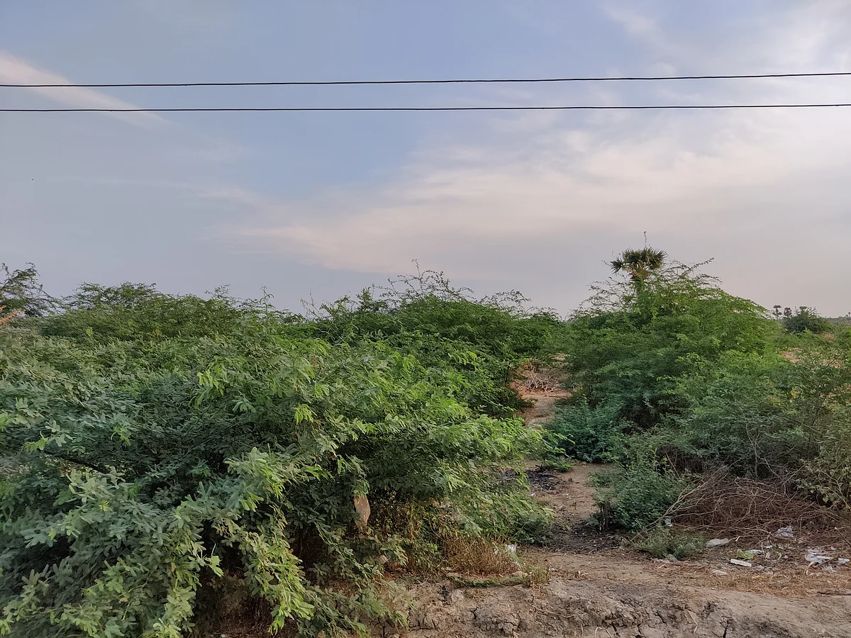 சர்ச்சைக்குரிய இடம்