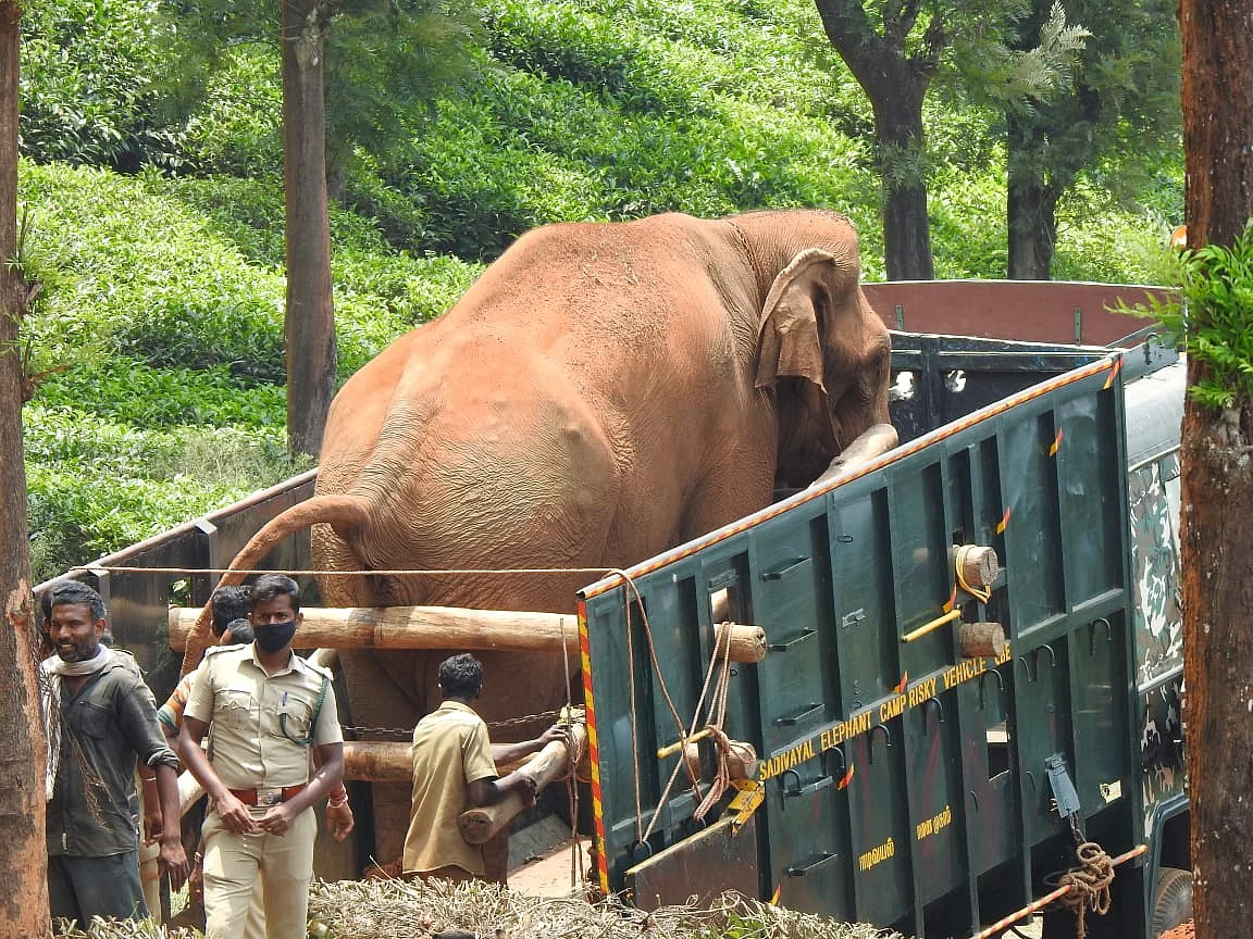 kumki