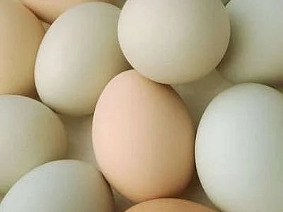 தொடர்ந்து உயரும் முட்டை விலை... என்ன காரணம்?