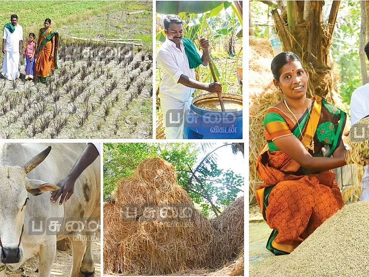 ஆத்தூர் கிச்சிலிச் சம்பா... ரூ.35,000 லாபம்! - இடைவெளி அதிகம்... செலவும் குறைவு!