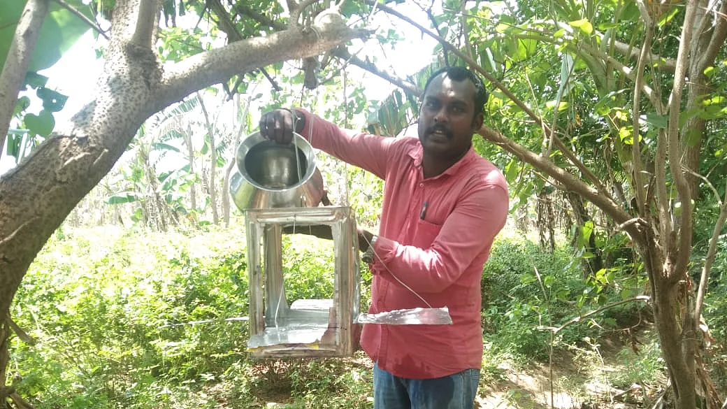 பறவை