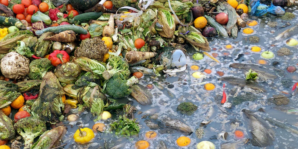 Food Wastage