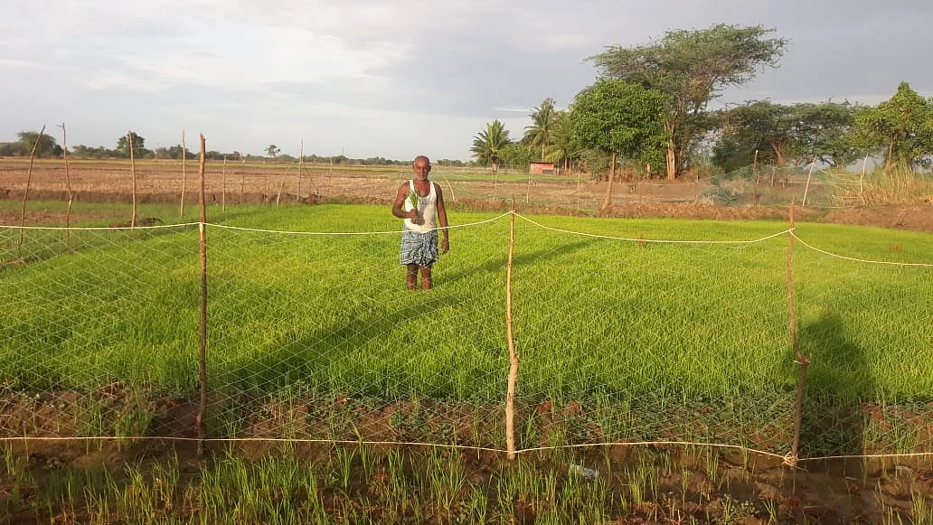 Farmer