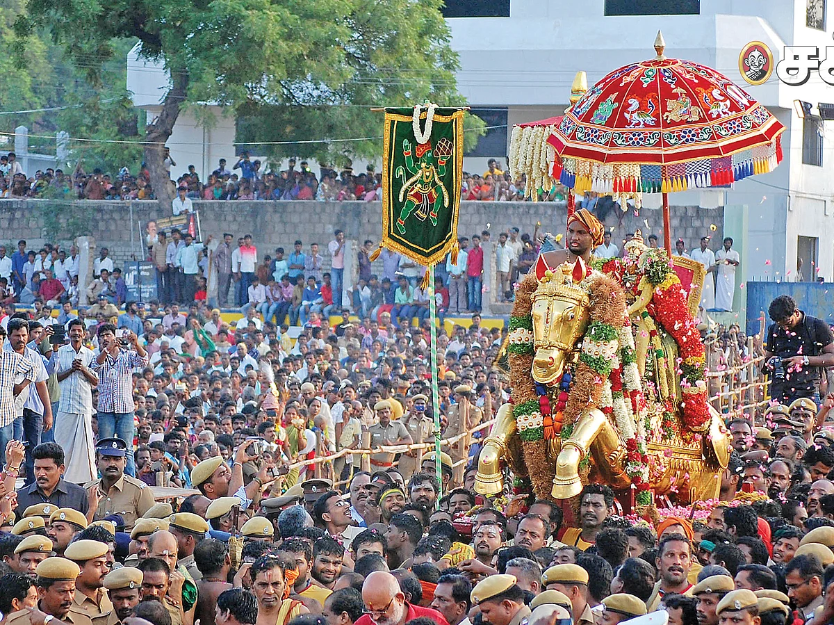 அழகர் அற்புதங்கள்...