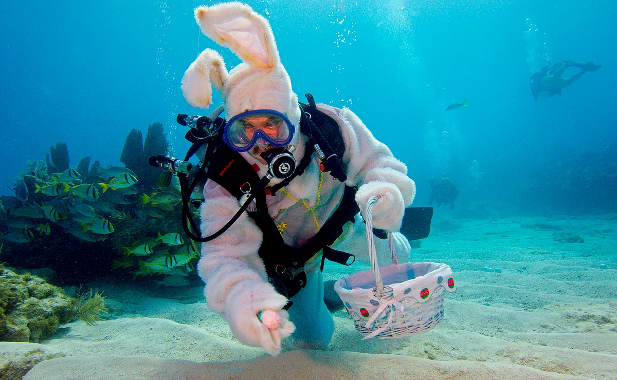 Easter Bunny