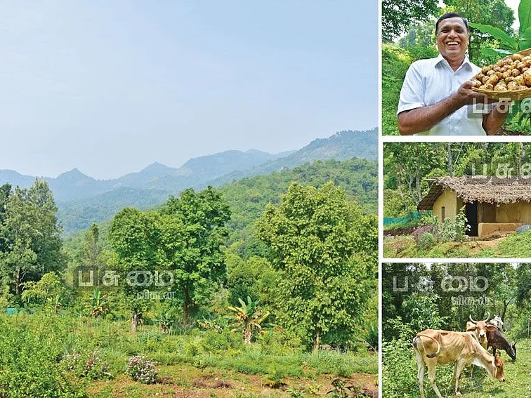 நேரடி விற்பனை... மாதம் ரூ.50,000 லாபம்! - நீலகிரியில் சிலிர்க்கும் ஜீரோபட்ஜெட் பண்ணை!