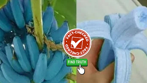 Viral Photo