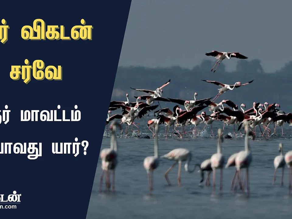 ஜூனியர் விகடன் சர்வே முடிவுகள்: திருவள்ளூர் மாவட்டத்தில் வெல்லப்போவது யார்?