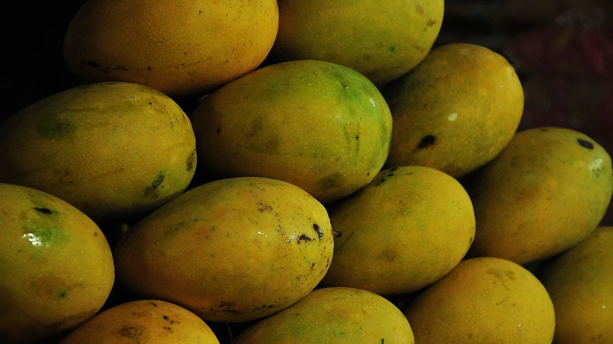 Mango