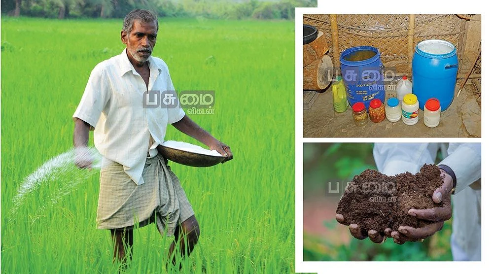 ரசாயன உரங்களுக்கு மாற்றாக இயற்கை உரங்கள்
