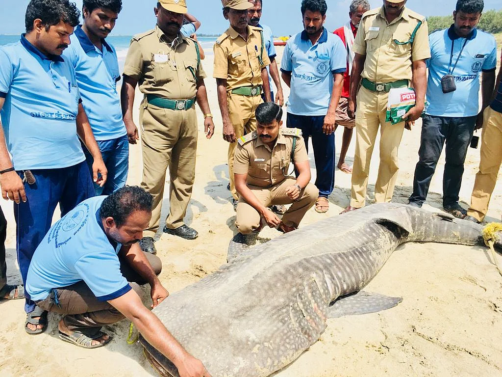 விருதுபெற்ற வனச்சரகர் சதீஷ், ஆய்வுப் பணியில்...