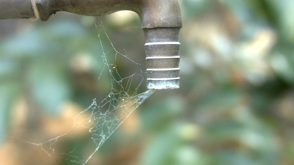 தண்ணீர் பற்றாக்குறை / Representational Image