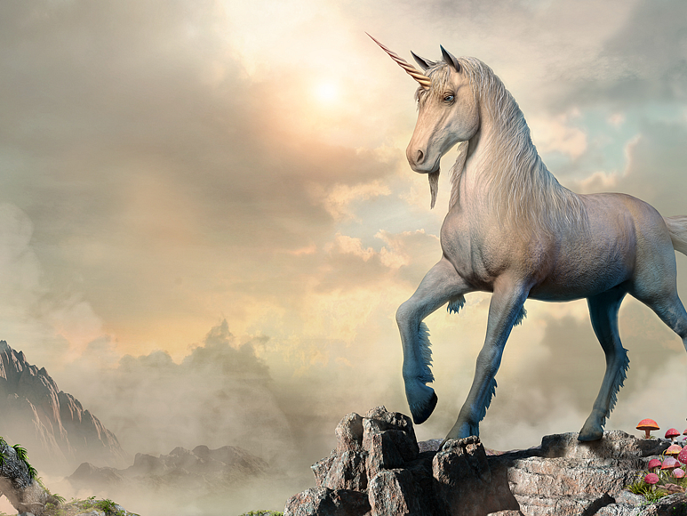 Unicorn