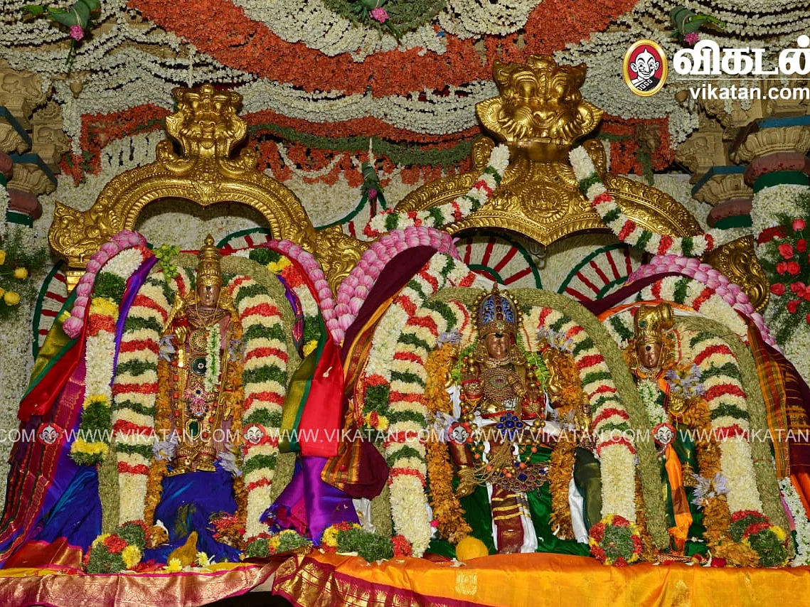 மதுரை: சிறப்பாக நடைபெற்ற மீனாட்சி - சுந்தரேசுவரர் திருக்கல்யாணம்... இணையதளம் மூலம் தரிசித்த மக்கள்!