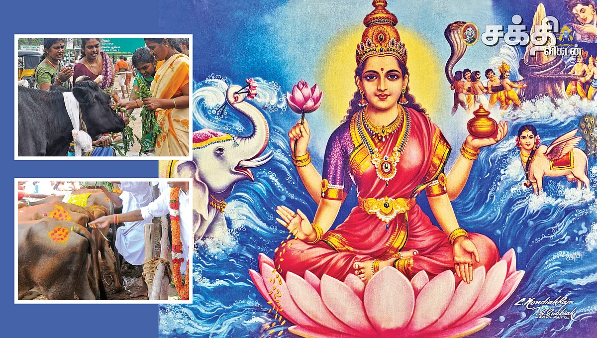 தோஷங்கள் தீர்க்கும்
கோ மாதா வந்தனம்!