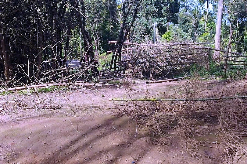மூங்கில் தடுப்புகளை அமைத்த பழங்குடிகள்