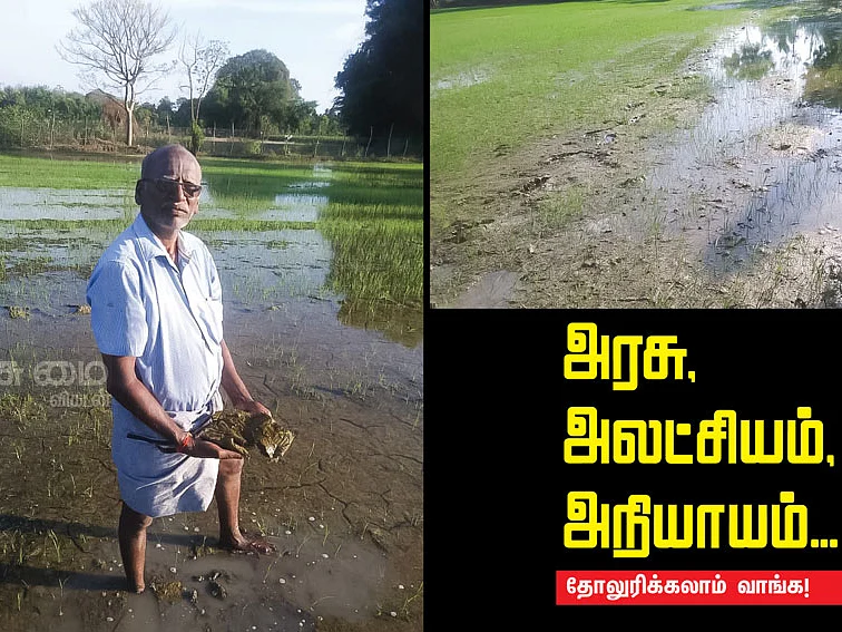 முளைப்புத் திறனில் கோளாறா?புகார் கிளப்பும் விவசாயி