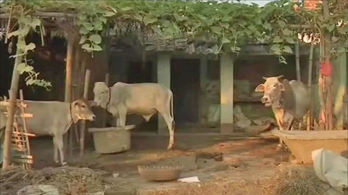 அரசு சுகாதார மையம்