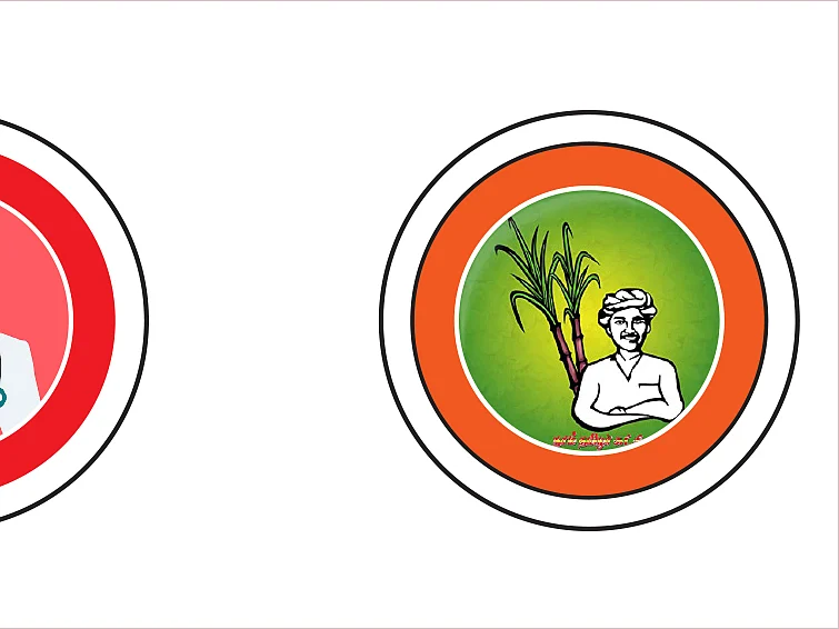 புள்ளிவிவரப் புலி