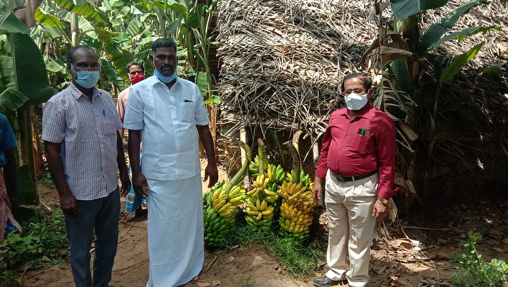 வாழை விவசாயி மதியழகன்