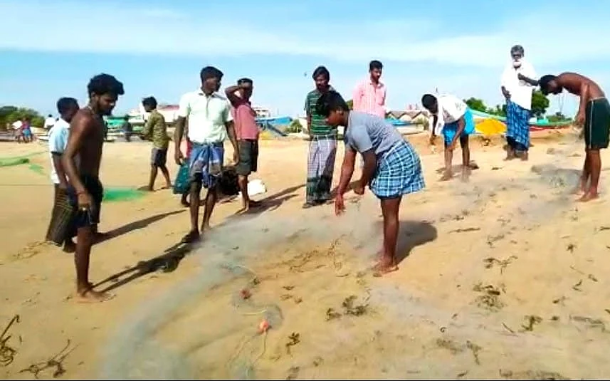 வலையில் சிக்கிய ஜெல்லி மீன்களை அப்புறப்படுத்தும் மீனவர்கள்