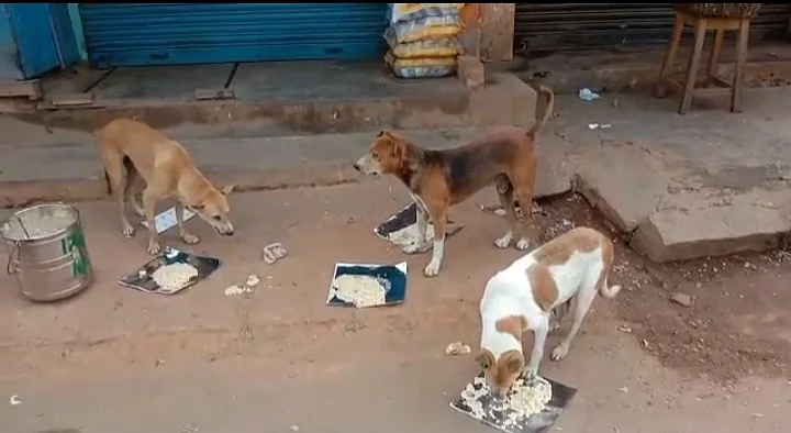 நாய்