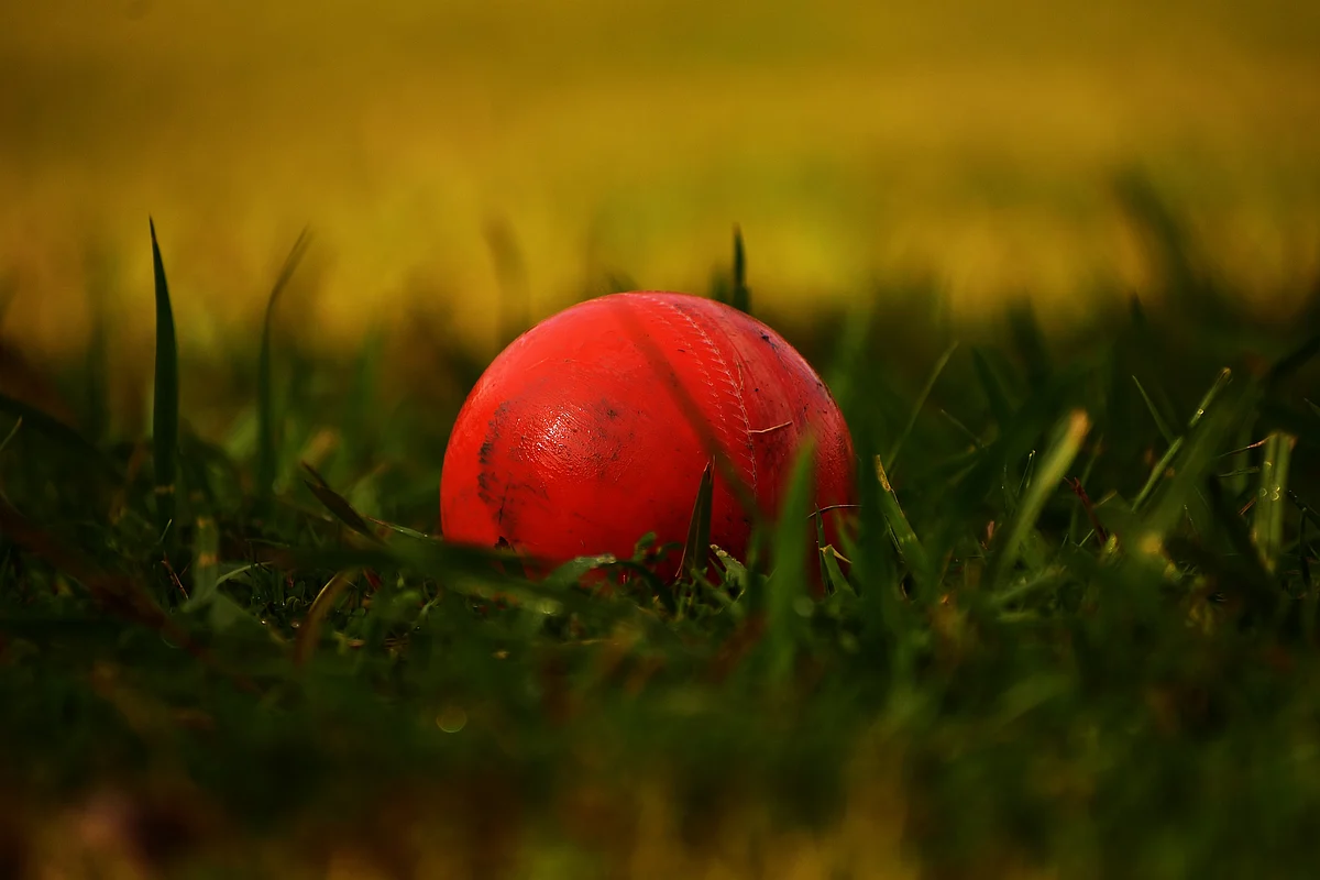 Cricket - Representational Image
