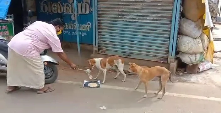 கொரோனா லாக்டெளன் உனவு கொடுக்கும் ராஜி