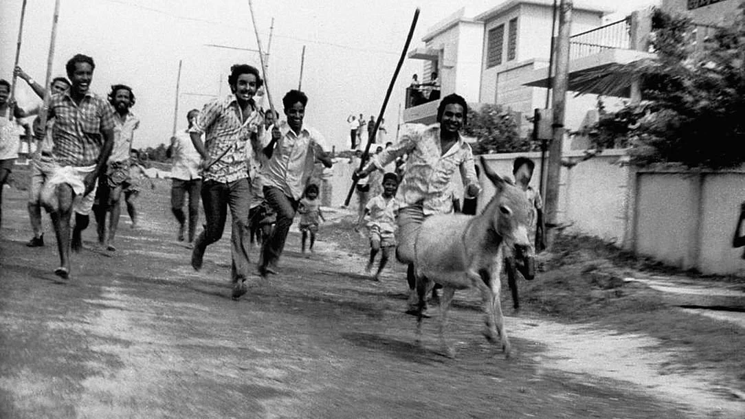 அக்ரகாரத்தில் கழுதை