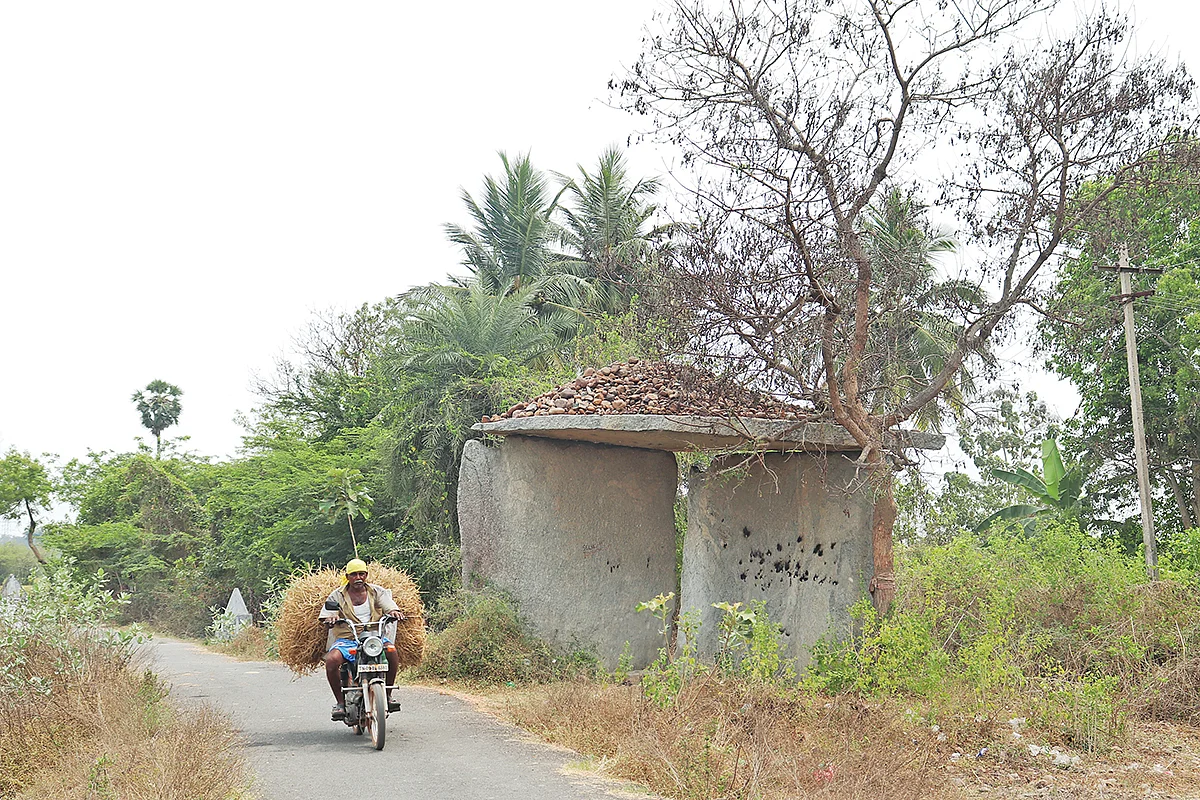 நீலிப்பாறை