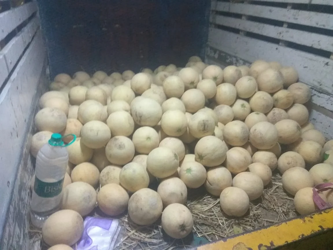 போலீஸ் பறிமுதல் செய்த லோடு ஆட்டோ