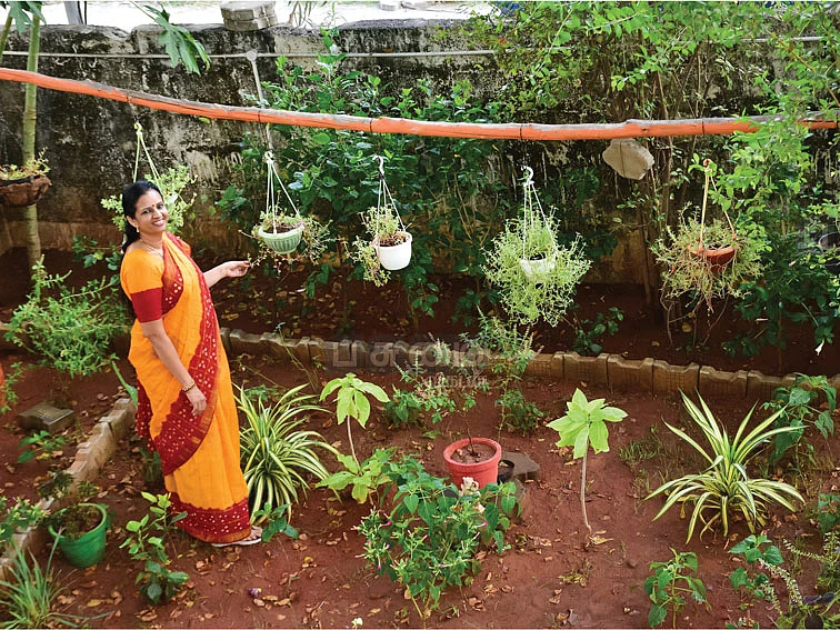 "2 நாள்கள் செடிகளைப் பார்க்காமல் இருக்க முடியாது!"
