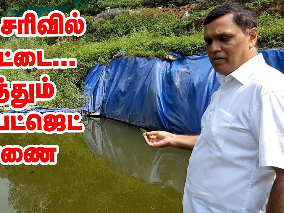 மலைச்சரிவில் மீன் குட்டை... அசத்தும் நீலகிரி ஜீரோ பட்ஜெட் பண்ணை!