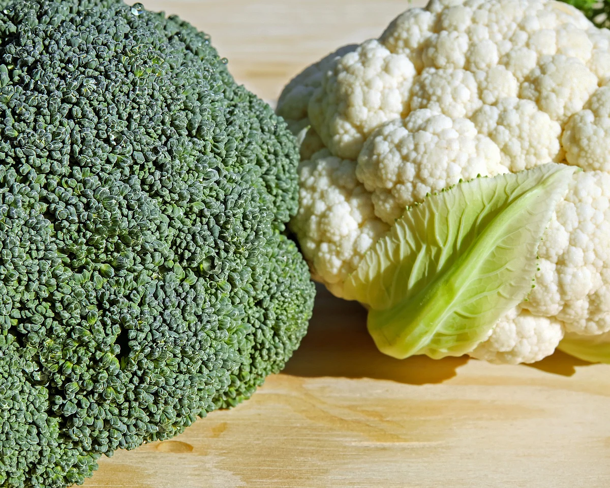 Cauliflower and Broccoli