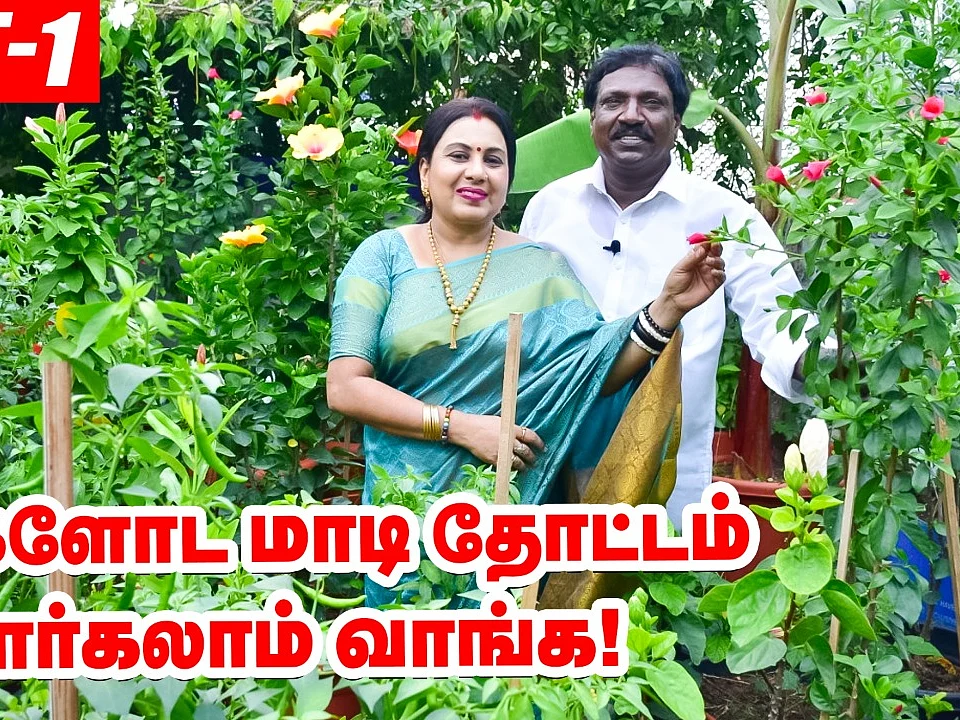 `எங்களோட மாடித்தோட்டம் பார்க்கலாம் வாங்க!' - அனிதா குப்புசாமி | Anitha Kuppusamy Terrace Garden